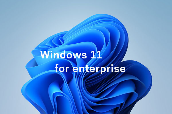 Windows 11 Enterprise Dijital Lisans Anahtarı 32/64 bit