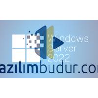 Windows Server 2022 Standart dijital lisans key