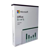 Microsoft Office 2024 Professional Plus Box BOX